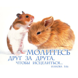 Молитесь друг за друга, чтобы исцелиться - открытка-карточка 8х9,5