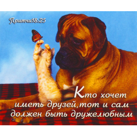 Кто хочет иметь друзей, тот и сам должен быть дружелюбным - открытка-карточка 8х9,5