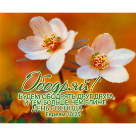 Ободряй! - открытка-карточка 8х9,5
