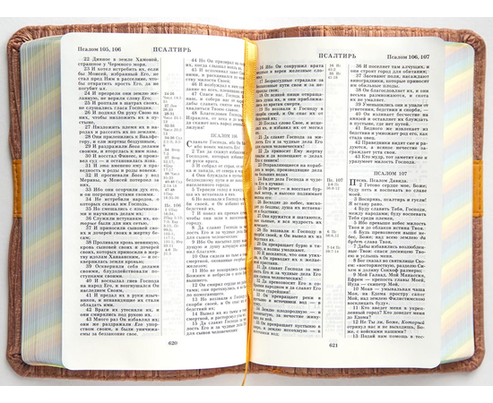 Библия (12х17см, коралловая обложка, радужный обрез, закладка)