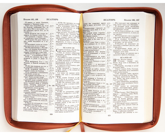 Библия (14,5х22см, ярко-коричневый термовинил, молния, золотой обрез, закладка, крупный шрифт)