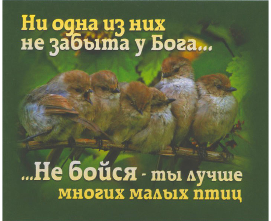 Ни одна из них не забыта у Бога… Не бойся, ты лучше многих малых птиц - открытка-карточка 8х9,5