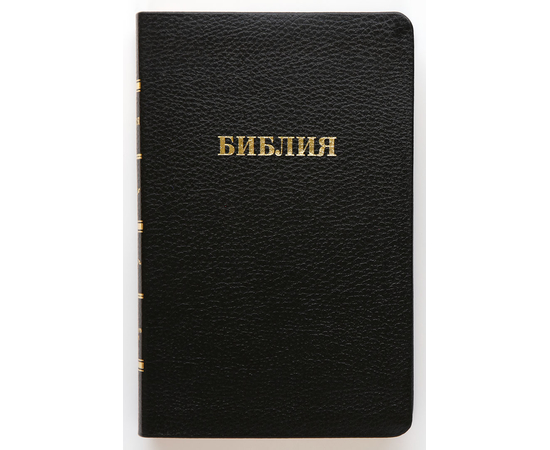 Библия (14х21,5см, чёрная кожа, золотой обрез, закладка, крупный шрифт)