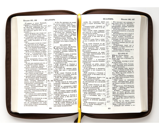Библия (18х24,5, натуральная кожа, коричневый пятнистый, Золотая рамка растительный орнамент, молния, 2 закладки, слова Иисуса выделены жирным, крупный шрифт)