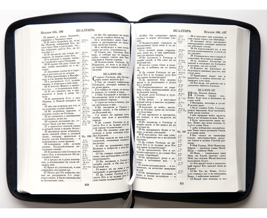 Библия (18х24,5, натуральная кожа, тёмно-синий пятнистый, Серебряная рамка с виноградной лозой, молния, 2 закладки, слова Иисуса выделены жирным, крупный шрифт)