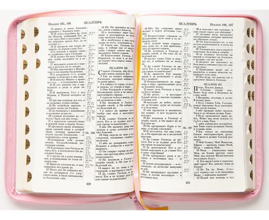Библия (18х24,5, искусств. кожа, розовый, Голубь, молния, индексы, 2 закладки, слова Иисуса выделены жирным, крупный шрифт)