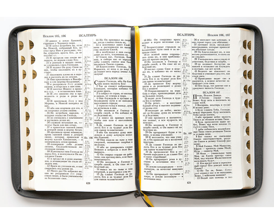 Библия (18х24,5, искусств. кожа, тёмно-серый, Орёл, молния, индексы, 2 закладки, слова Иисуса выделены жирным, крупный шрифт)