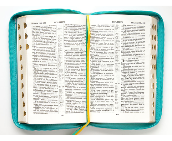 Библия (14,3х22см, искусств. кожа, , цветная печать "Сакура", молния, золотой обрез, индексы, 2 закладки, слова Иисуса выделены жирным, средний шрифт)