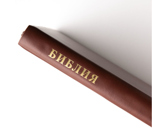 Библия (18x24,3см, натуральная кожа, коричневый, "Рамка барокко", индексы, золотой обрез, 2 закладки, слова Иисуса выделены жирным, крупный шрифт)