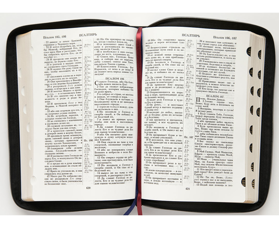 Библия ( 18х24см, натуральная кожа, чёрный, Золотой лев, золотой обрез, индексы, 2 закладки, крупный шрифт)