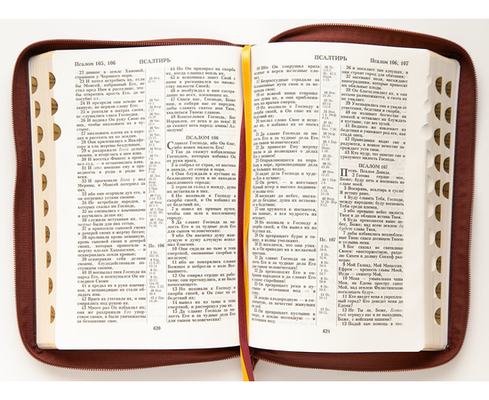 Библия (18х24 см, натуральная кожа, коричневый с оттенком бордо, надпись "Библия" с вензелем, молния, золотой обрез, индексы, 2 закладки, слова Иисуса выделены жирным, крупный шрифт)