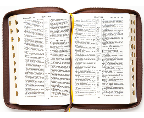 Библия (18x24,3см, натуральная кожа, коричневый, "Терновый венец", индексы, золотой обрез, 2 закладки, слова Иисуса выделены жирным, крупный шрифт)
