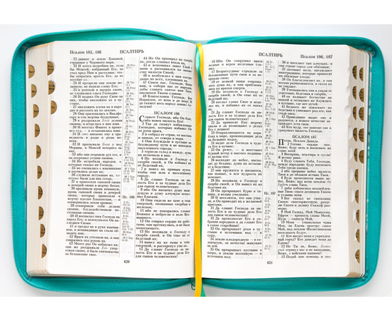 Библия (18х24 см, исск. кожа, цветная печать "Сакура", молния, золотой обрез, индексы, 2 закладки, слова Иисуса выделены жирным, крупный шрифт)