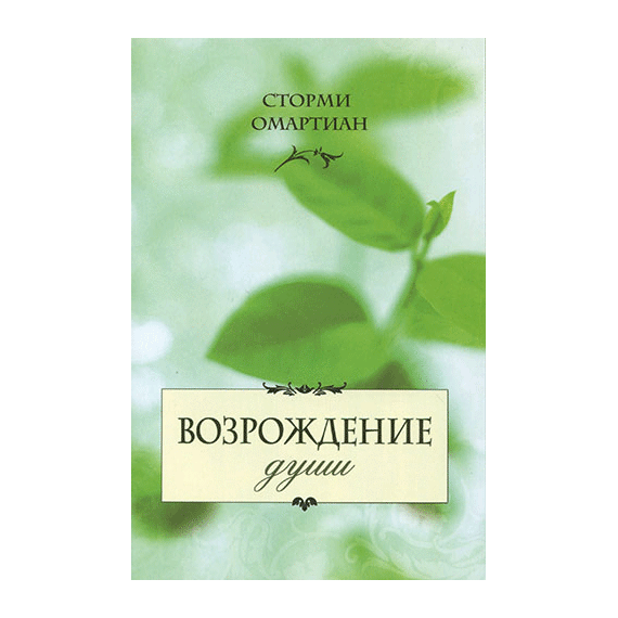 Возрождение души Серия «Новый человек»