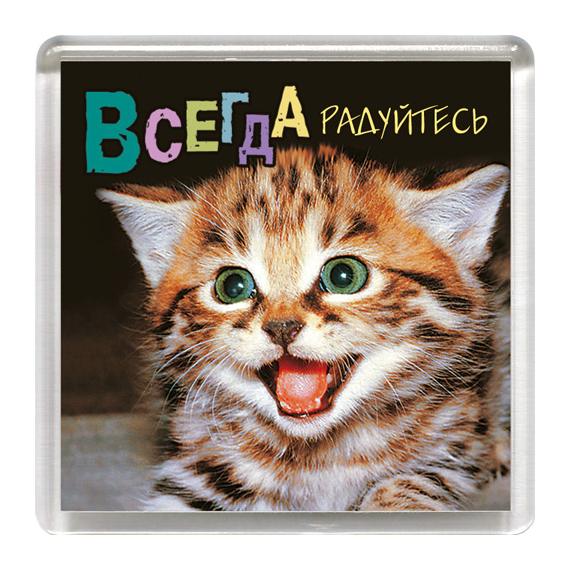 Магнит пластиковый квадратный "Всегда радуйтесь!" (котенок)
