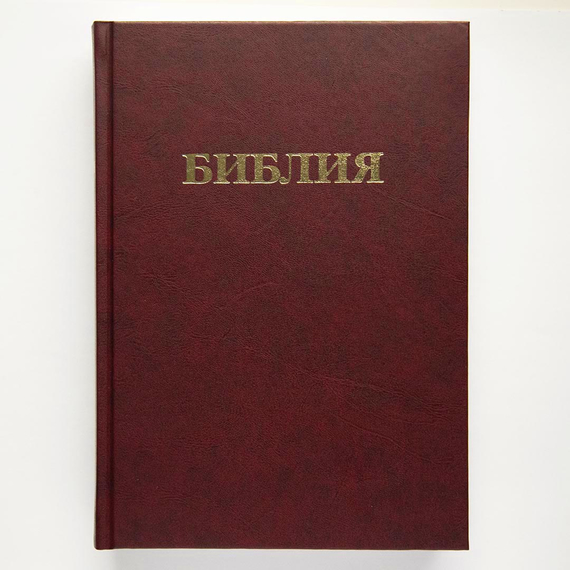 Библия (17х24см, бордовый твердый переплёт)