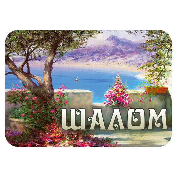 Магнит - "Шалом"