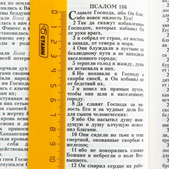 Библия ( 17х24см, тв. пер., ромашки, надпись "Библия", молния, 2 закладки, слова Иисуса выделены жирным, крупный шрифт)