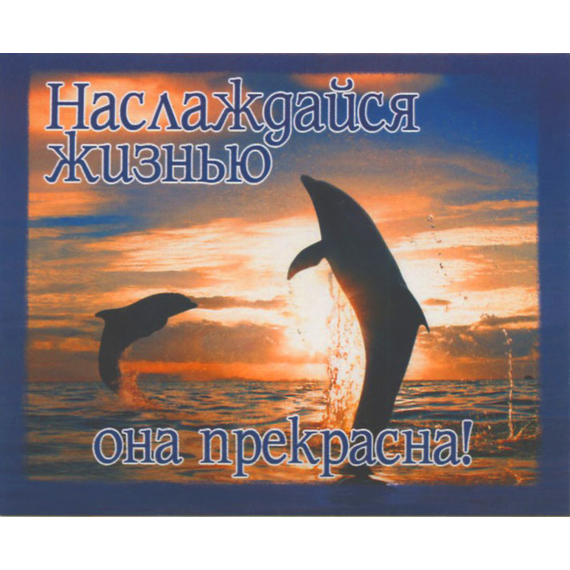 Наслаждайся жизнью, она прекрасна - открытка-карточка 8х9,5