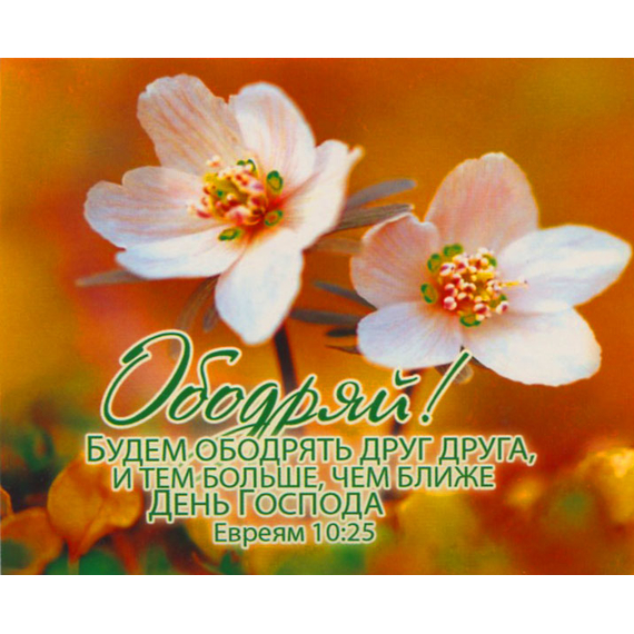 Ободряй! - открытка-карточка 8х9,5