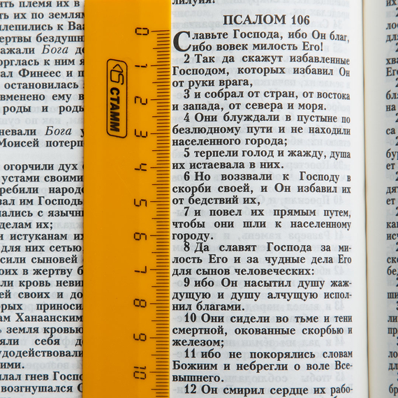 Библия (18х24,5, натуральная кожа, чёрный пятнистый, Золотой лев, молния, 2 закладки, слова Иисуса выделены жирным, крупный шрифт)
