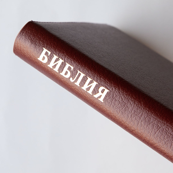 Библия (14х20,2см, натуральная кожа, бордо пятнистый, Золотой орёл, молния, золотой обрез, индексы, 2 закладки, слова Иисуса выделены жирным)