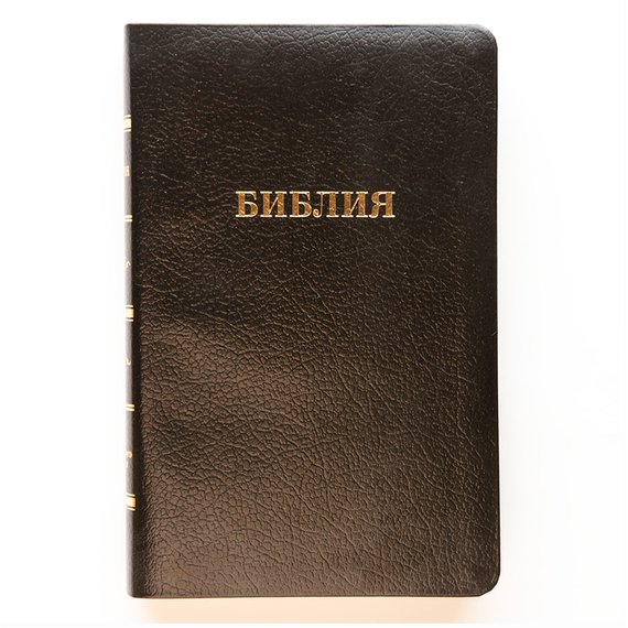 Библия (14х21,5см, чёрная кожа, золотой обрез, индексы, закладка, крупный шрифт)
