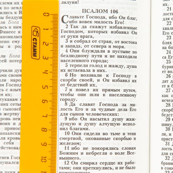 Библия (18х24 см, натуральная кожа, бордо пятнистый, надпись "Библия" с вензелем, молния, золотой обрез, индексы, 2 закладки, слова Иисуса выделены жирным, крупный шрифт)